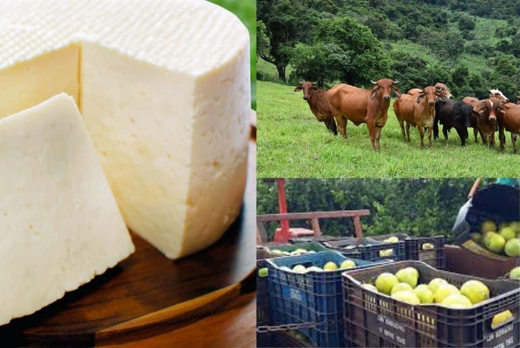 #Pra-todos-verem:A-imagem-mostra-frutas,queijo-e-gado-Produtos-da-Fazenda-Asa-Branca-Araxa-MG