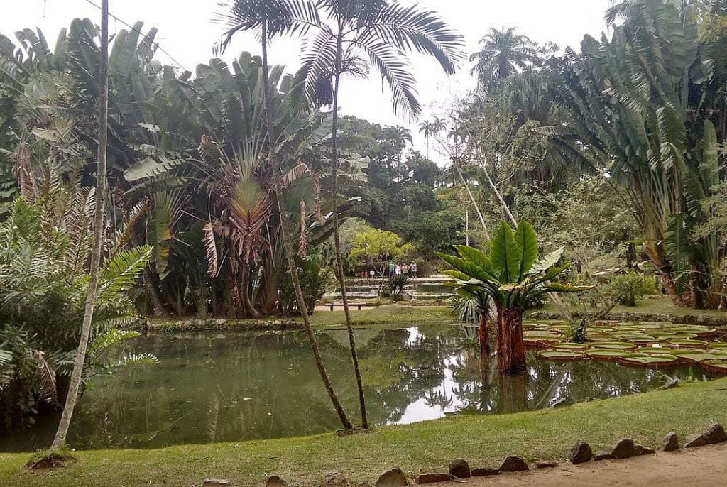 Pra-todos-verem:Jardim-Botanico-Rio-de-Janeiro-RJ 