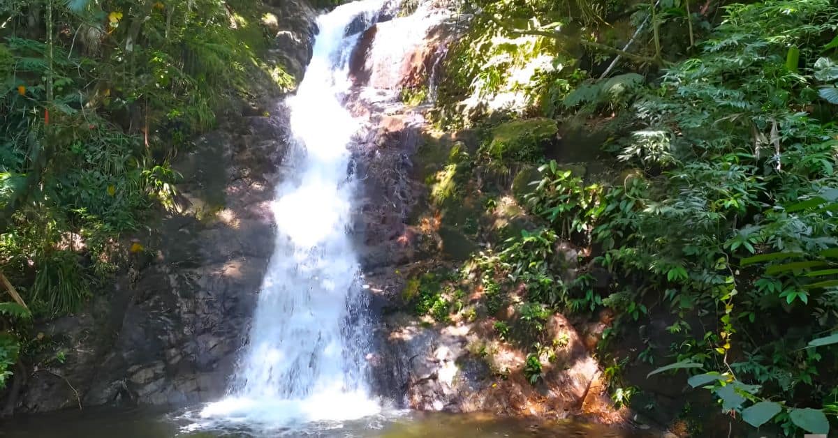 Pra-todos-verem:Cachoeira-Veu-da-Noiva-Caraguatatuba-SP