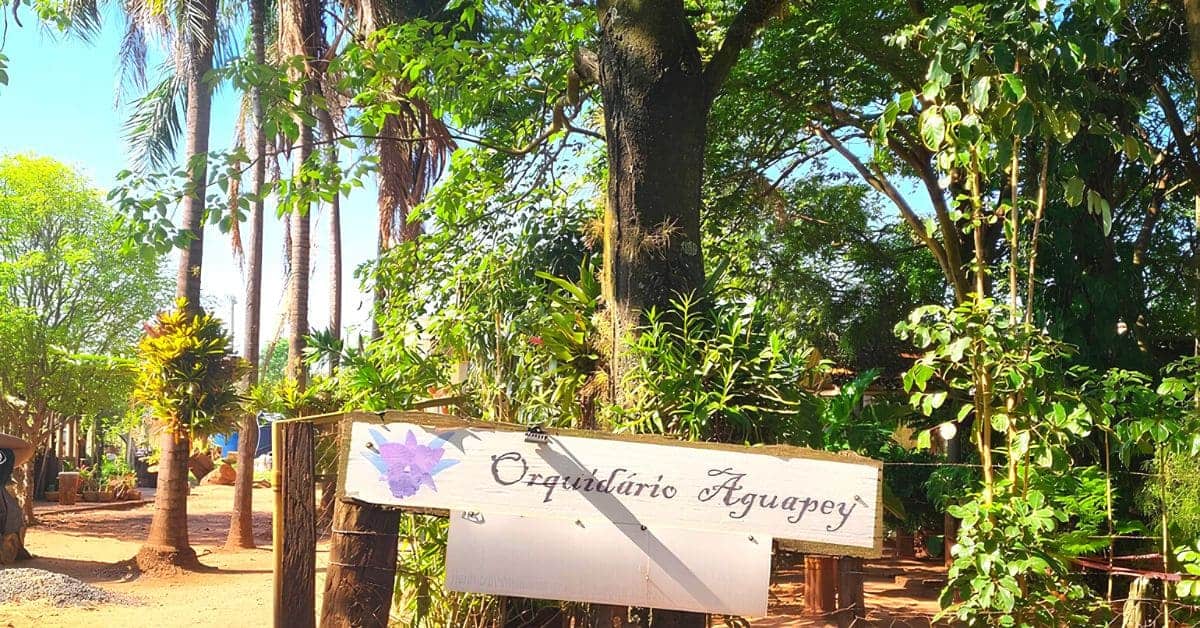 Orquidario-Aguapey-Olimpia-SP