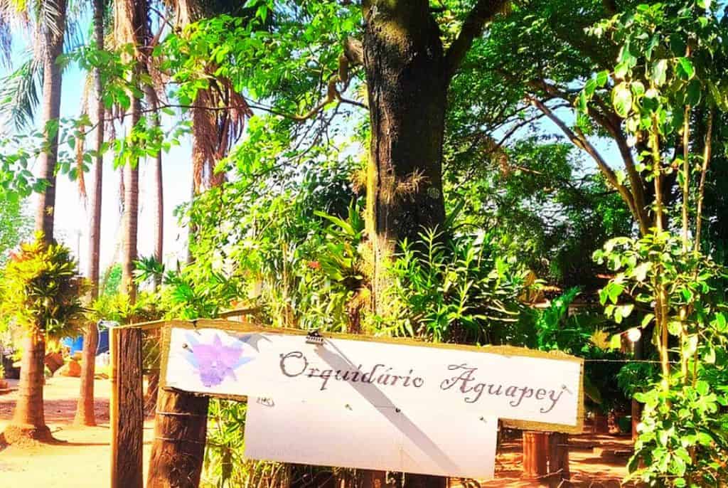 Orquidario-Aguapey-Olimpia-SP
